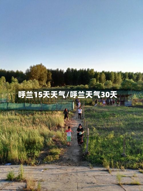 呼兰15天天气/呼兰天气30天-第2张图片
