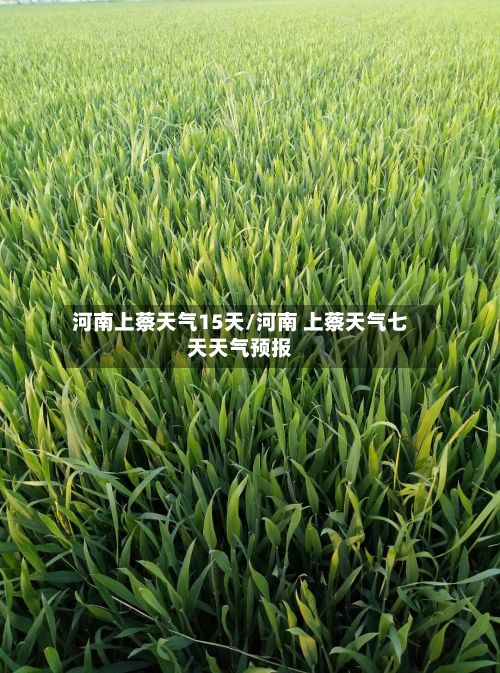 河南上蔡天气15天/河南 上蔡天气七天天气预报-第2张图片