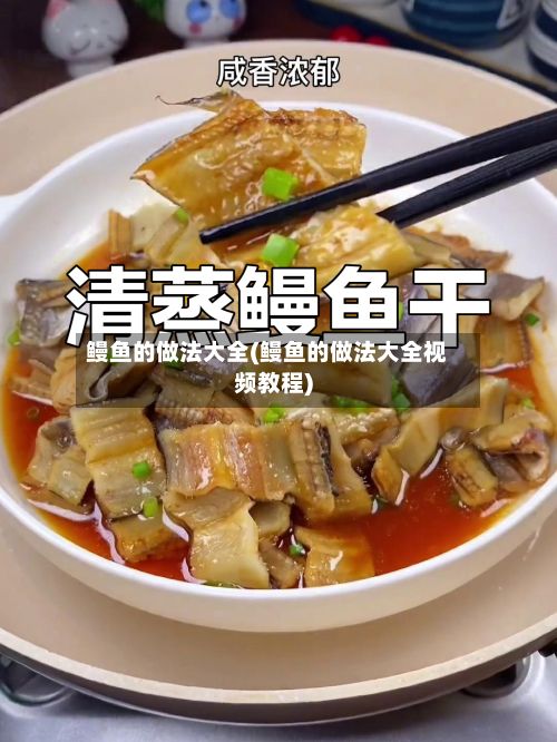 鳗鱼的做法大全(鳗鱼的做法大全视频教程)
