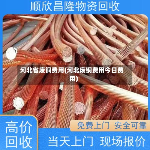 河北省废铜费用(河北废铜费用今日费用)-第3张图片
