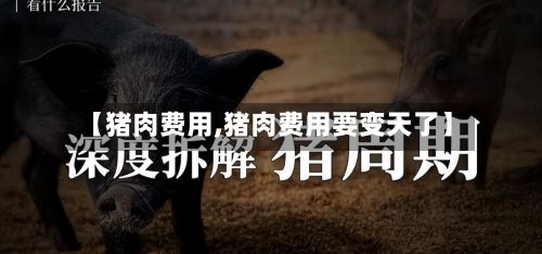 【猪肉费用,猪肉费用要变天了】-第2张图片