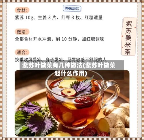 紫苏叶做菜有几种做法(紫苏叶做菜起什么作用)-第2张图片