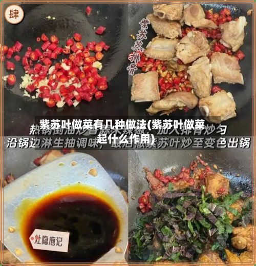 紫苏叶做菜有几种做法(紫苏叶做菜起什么作用)-第3张图片