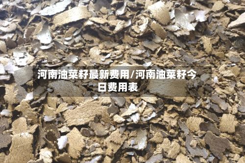 河南油菜籽最新费用/河南油菜籽今日费用表