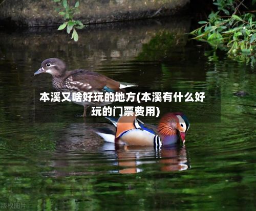 本溪又啥好玩的地方(本溪有什么好玩的门票费用)