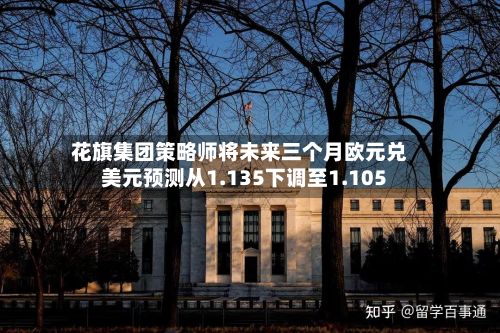花旗集团策略师将未来三个月欧元兑美元预测从1.135下调至1.105-第2张图片