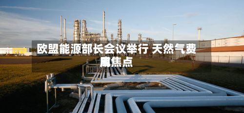 欧盟能源部长会议举行 天然气费用
成焦点-第2张图片