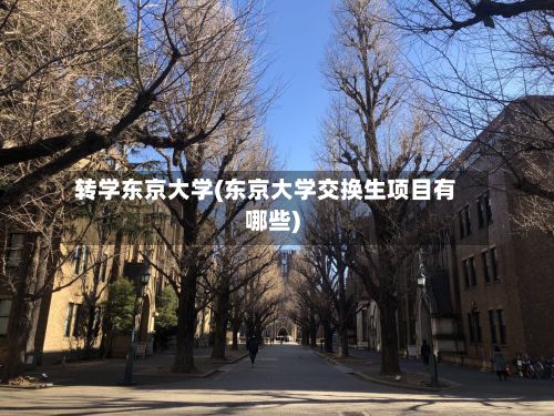 转学东京大学(东京大学交换生项目有哪些)-第2张图片
