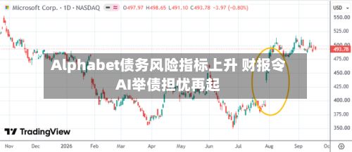 Alphabet债务风险指标上升 财报令AI举债担忧再起