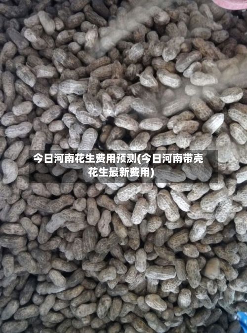 今日河南花生费用预测(今日河南带壳花生最新费用)-第3张图片