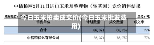 今日玉米拍卖成交价(今日玉米批发费用)-第2张图片