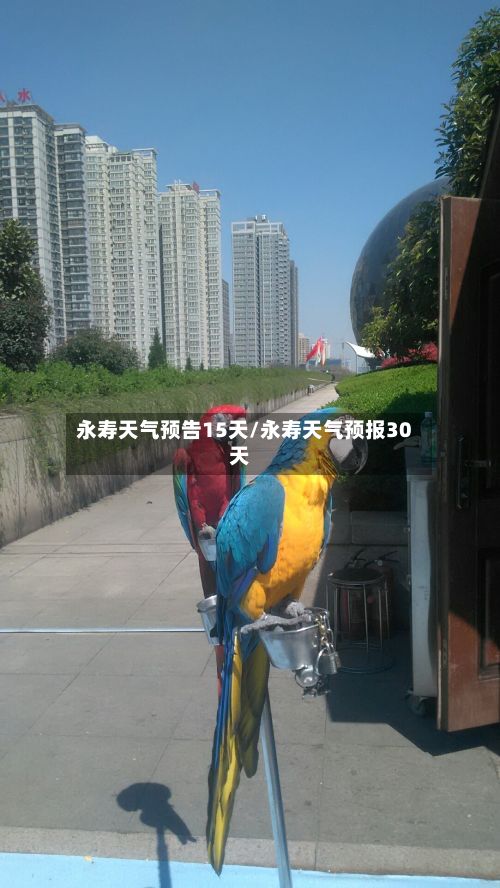 永寿天气预告15天/永寿天气预报30天-第2张图片