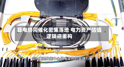 算电协同催化密集落地 电力资产估值逻辑迎重构