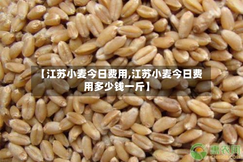 【江苏小麦今日费用,江苏小麦今日费用多少钱一斤】