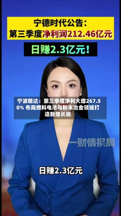 宁波精达：第三季度净利大增267.50% 布局燃料电池与粉末冶金领域打造新增长极-第2张图片
