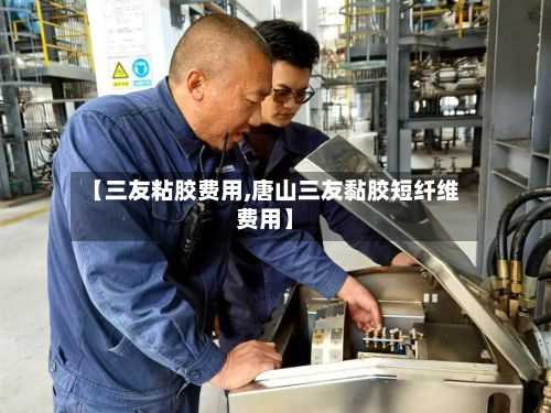 【三友粘胶费用,唐山三友黏胶短纤维费用】-第2张图片