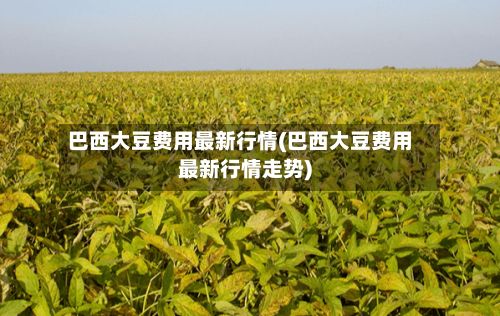 巴西大豆费用最新行情(巴西大豆费用最新行情走势)