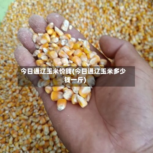 今日通辽玉米价钱(今日通辽玉米多少钱一斤)-第3张图片