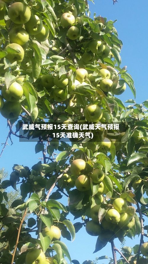 武威气预报15天查询(武威天气预报15天准确天气)-第2张图片