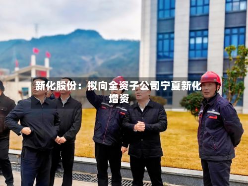 新化股份：拟向全资子公司宁夏新化增资-第2张图片