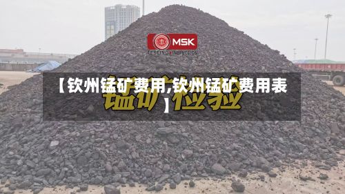 【钦州锰矿费用,钦州锰矿费用表】-第3张图片