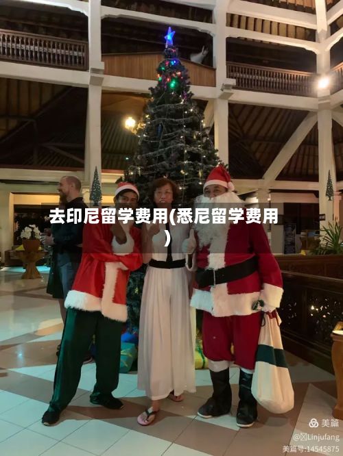 去印尼留学费用(悉尼留学费用)-第2张图片