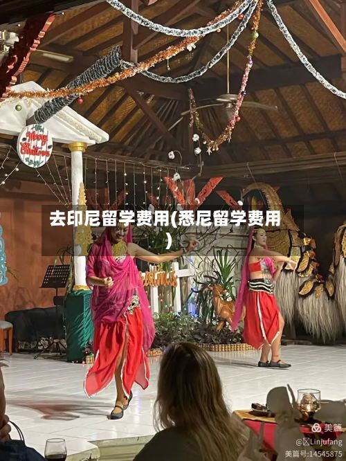 去印尼留学费用(悉尼留学费用)