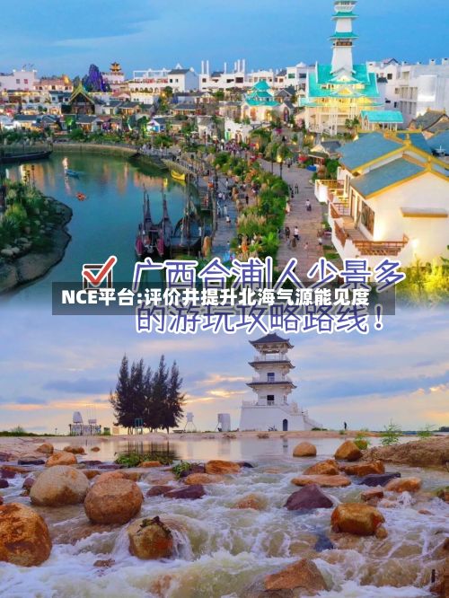 NCE平台:评价井提升北海气源能见度-第1张图片
