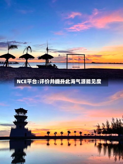 NCE平台:评价井提升北海气源能见度-第2张图片