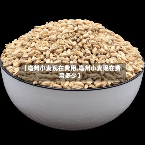 【亳州小麦现在费用,亳州小麦现在费用多少】-第2张图片