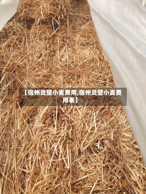 【宿州灵壁小麦费用,宿州灵壁小麦费用表】
