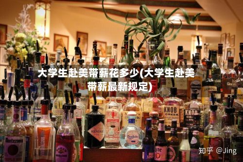 大学生赴美带薪花多少(大学生赴美带薪最新规定)