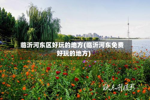 临沂河东区好玩的地方(临沂河东免费好玩的地方)-第3张图片