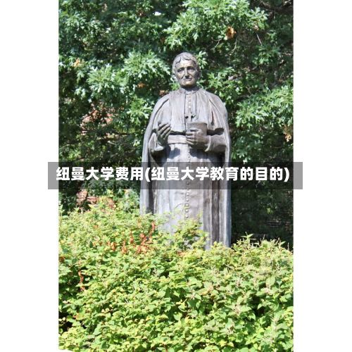 纽曼大学费用(纽曼大学教育的目的)-第2张图片