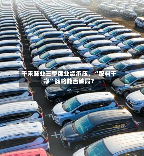 千禾味业三季度业绩承压，“配料干净”战略能否破局？-第3张图片