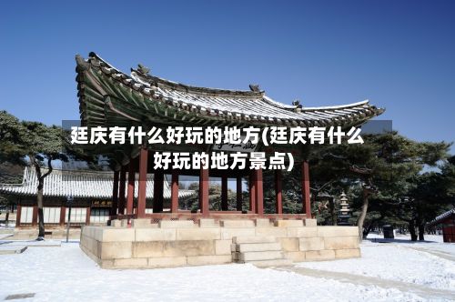 廷庆有什么好玩的地方(廷庆有什么好玩的地方景点)-第3张图片