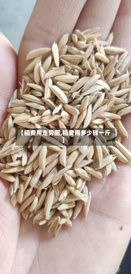 【稻费用走势图,稻费用多少钱一斤】-第2张图片