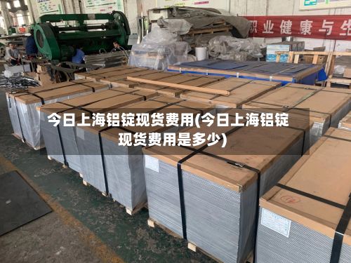 今日上海铝锭现货费用(今日上海铝锭现货费用是多少)-第3张图片