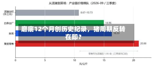 磨底12个月创历史纪录，猪周期反转在即？