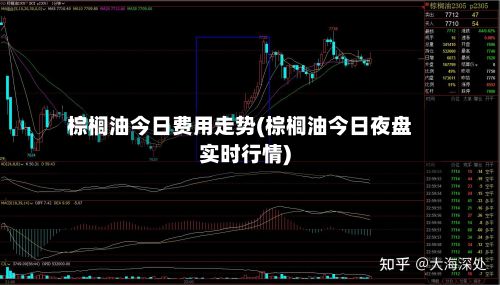 棕榈油今日费用走势(棕榈油今日夜盘实时行情)