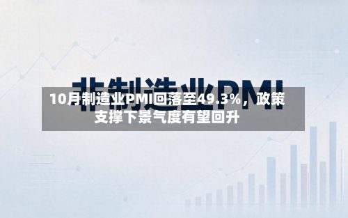 10月制造业PMI回落至49.3%	，政策支撑下景气度有望回升-第3张图片