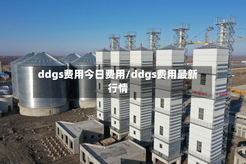 ddgs费用今日费用/ddgs费用最新行情-第2张图片