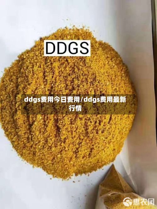 ddgs费用今日费用/ddgs费用最新行情