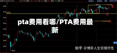 pta费用看哪/PTA费用最新