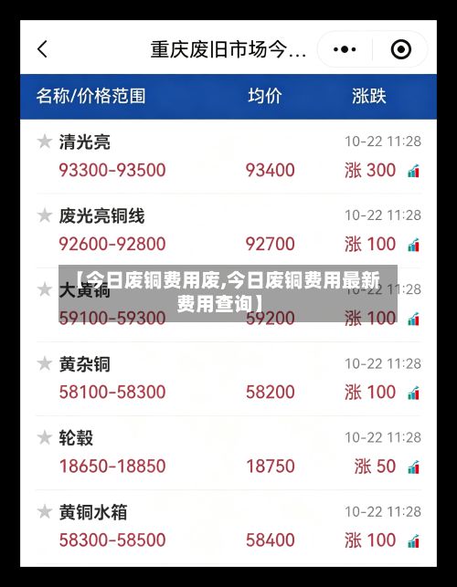 【今日废铜费用废,今日废铜费用最新费用查询】-第3张图片