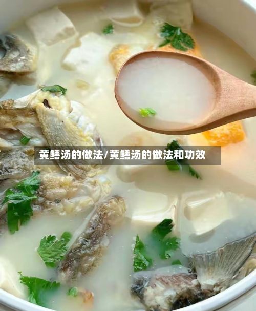 黄鳝汤的做法/黄鳝汤的做法和功效