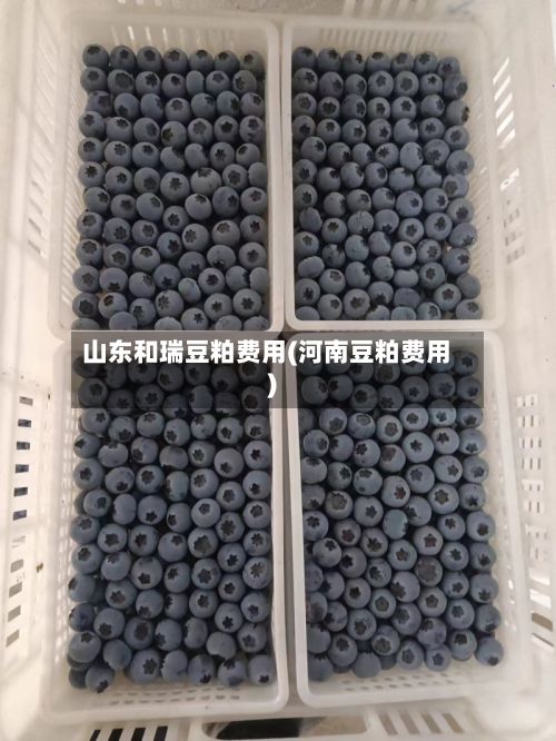 山东和瑞豆粕费用(河南豆粕费用)