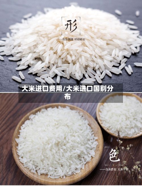 大米进口费用/大米进口国别分布