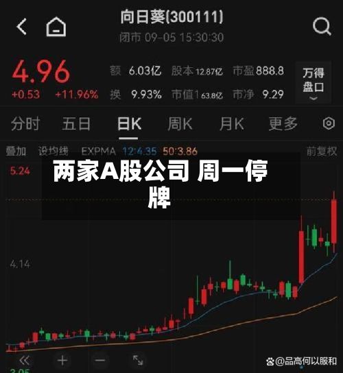 两家A股公司 周一停牌-第1张图片