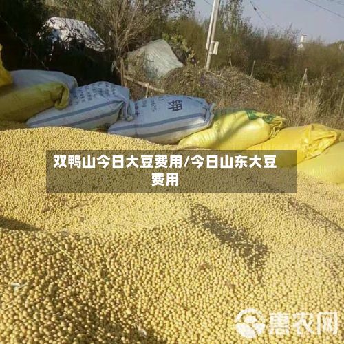 双鸭山今日大豆费用/今日山东大豆费用-第2张图片